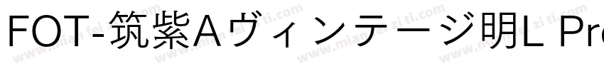 FOT-筑紫Aヴィンテージ明L Pro R字体转换